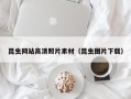 喀什昆虫网站高清照片素材（昆虫图片下载）