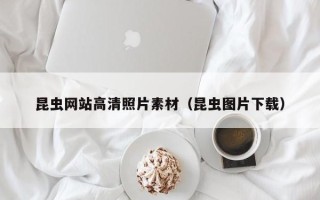 喀什昆虫网站高清照片素材（昆虫图片下载）